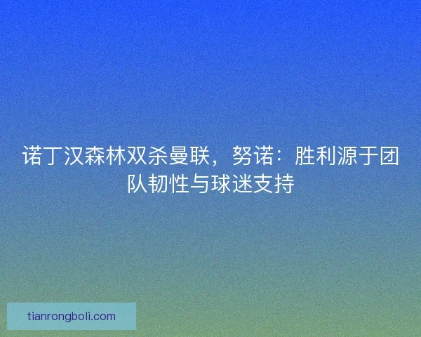 诺丁汉森林双杀曼联，努诺：胜利源于团队韧性与球迷支持